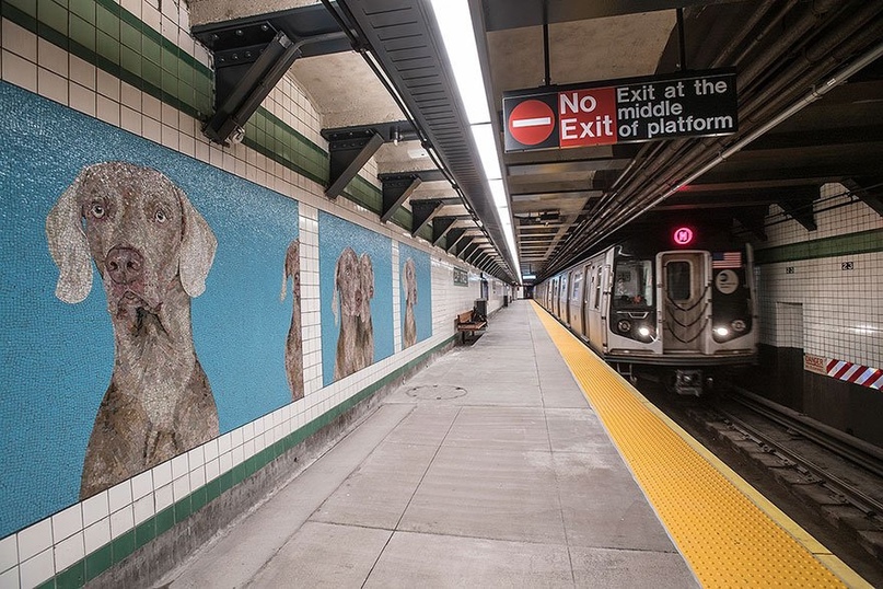 Собаки из мозаики на станциях метро в Нью-Йорке 1